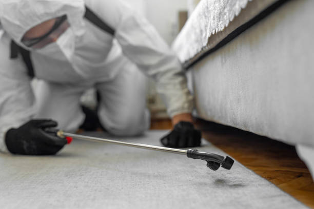 Professional Bed Bug Control technician working in Lowry Crossing, TX